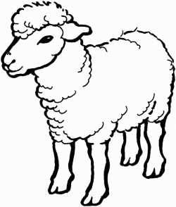 Free Sheep Pictures For Kids, Download Free Clip Art, Free ...