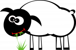 28+ Collection of Sheep Grazing Clipart | High quality, free ...