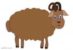 sheep-picture-color.png