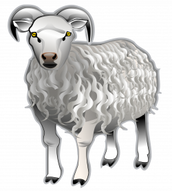 Clipart - Sheep