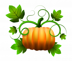 Food, Pumpkin Halloween November Fruits Vegetabl #food, #pumpkin ...