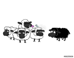 Black sheep and group of white sheep