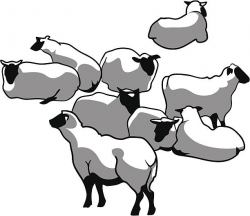 Flock of sheep clipart 7 » Clipart Station