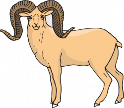 Bighorn Sheep Clipart at GetDrawings.com | Free for personal use ...
