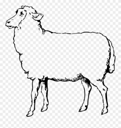 Lamb Clipart Printable - Sheep Clipart Black And White - Png ...