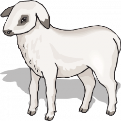 Lamb Clip Art at Clker.com - vector clip art online, royalty free ...
