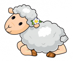 Clipart sheep images on drawings and - ClipartPost