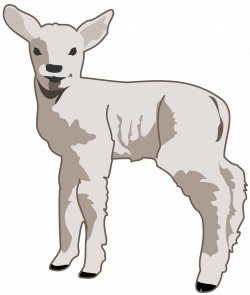 Clipart - young lamb