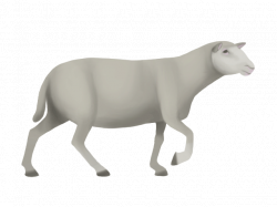 Lamb Animation. View Larger Image With Lamb Animation. Perfect Tribe ...