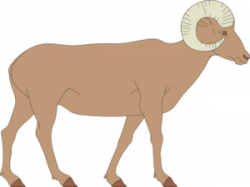 Walking Bighorn Sheep PNG, SVG Clip art for Web - Download ...