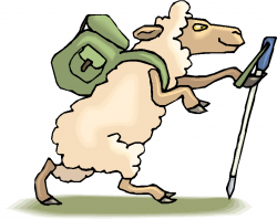network marketing from my eyes: Sheep Walking vs MLM - Clip ...