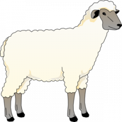 Wooly Sheep PNG, SVG Clip art for Web - Download Clip Art ...