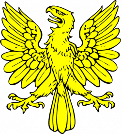 symbol-shield-eagle-bird-gold-coat-arms-crest.png (581×640) | The ...