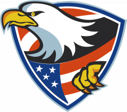 United States Bald Eagle Illustration - Flying shield 4717*4182 ...