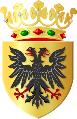 File:Golden shield with black eagle and golden crown.svg - Wikimedia ...