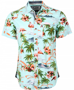 Mint Tropics Shirt – Michael Brandon