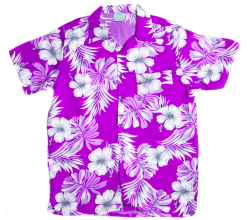Best Hawaiian Shirt Clip Art #19374 - Clipartion.com