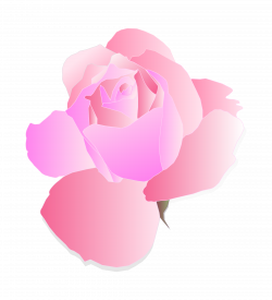 Clipart - Rose