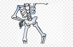Bones Clipart Bone Health - Skeletal System Support - Png ...