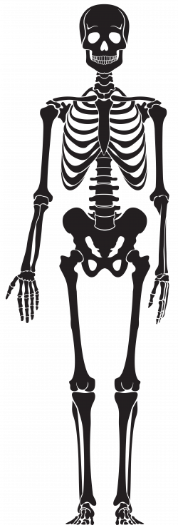 Skeleton Silhouette PNG Clip Art | Gallery Yopriceville - High ...