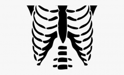 Chest Clipart Skeleton - Roblox T Shirt Transparent ...