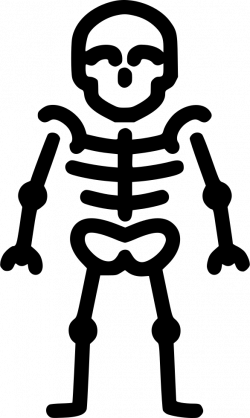 Skeleton Anatomy Bones Skull Svg Png Icon Free Download (#493993 ...