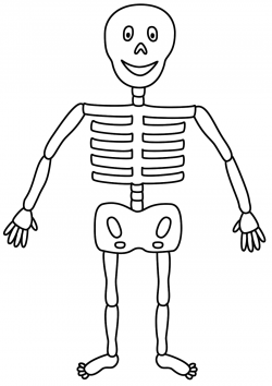 Free Skeleton For Kids, Download Free Clip Art, Free Clip ...