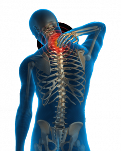 Atlanta Total Wellness | Injured In A Car Accident? | Back Pain ...