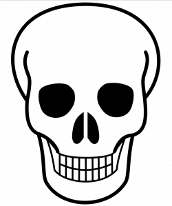 28+ Collection of Simple Skeleton Face Drawing | High quality, free ...