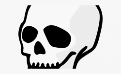 Skeleton Clipart Cranium - Clip Art Skull Black And White ...