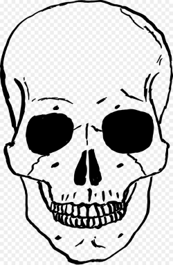 Human Skull Drawing clipart - Skull, Drawing, Face ...