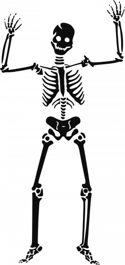 Download Free png skeleton skull - DLPNG.com
