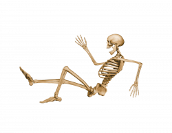 Skeleton Sitting transparent PNG - StickPNG