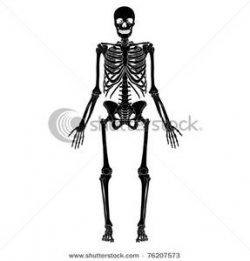 Clipart Image: A Black Skeleton In the Anatomical Position