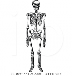 39+ Skeleton Clipart | ClipartLook
