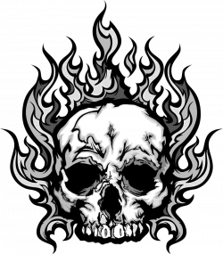 Skull Royalty-free Stock photography Clip art - Cranial skeleton 800 ...