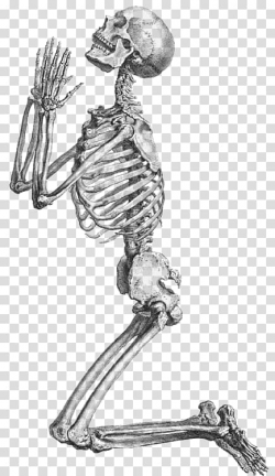 Skeleton illustration, Prayer Human skeleton Anatomy ...