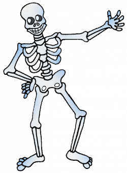 Pictures Of Skeletons For Kids - Cliparts.co | Extra ...