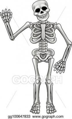 Vector Stock - Cartoon skeleton. Clipart Illustration ...