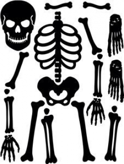 Image result for diy skeleton costume template | Halloween ...