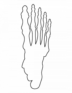 Skeleton foot pattern. Use the printable outline for crafts ...