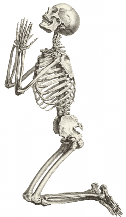 skeleton clip art | ... casual skeleton, full skeleton ...