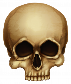 Brown Skull Small transparent PNG - StickPNG