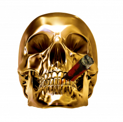 Skull Clip art - Golden skull 1501*1500 transprent Png Free Download ...