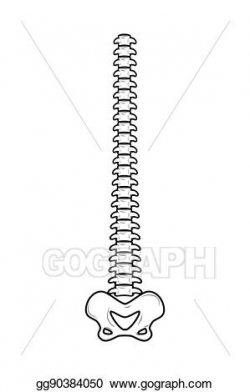 Vector Stock - Backbone isolated. spine and pelvis. spinal ...
