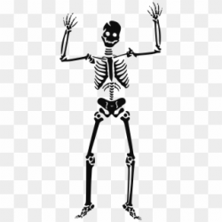 Spooky Skeleton PNG Images, Free Transparent Image Download ...