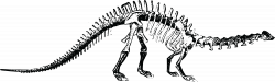 Dinosaur Skeleton Clipart - Clip Art. Net