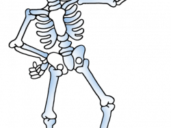 Bones Skeleton Cliparts Free Download Clip Art - carwad.net