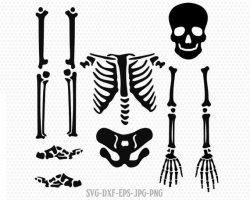 Skeleton parts kit SVG, halloween skeleton svg, skeleton svg, Halloween Svg  ,CriCut Files svg jpg png dxf Silhouette cameo