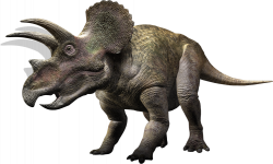 Triceratops | Pinterest | Prehistoric